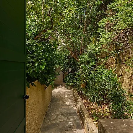 Hedera Estate, Hedera A32 Ντουμπρόβνικ